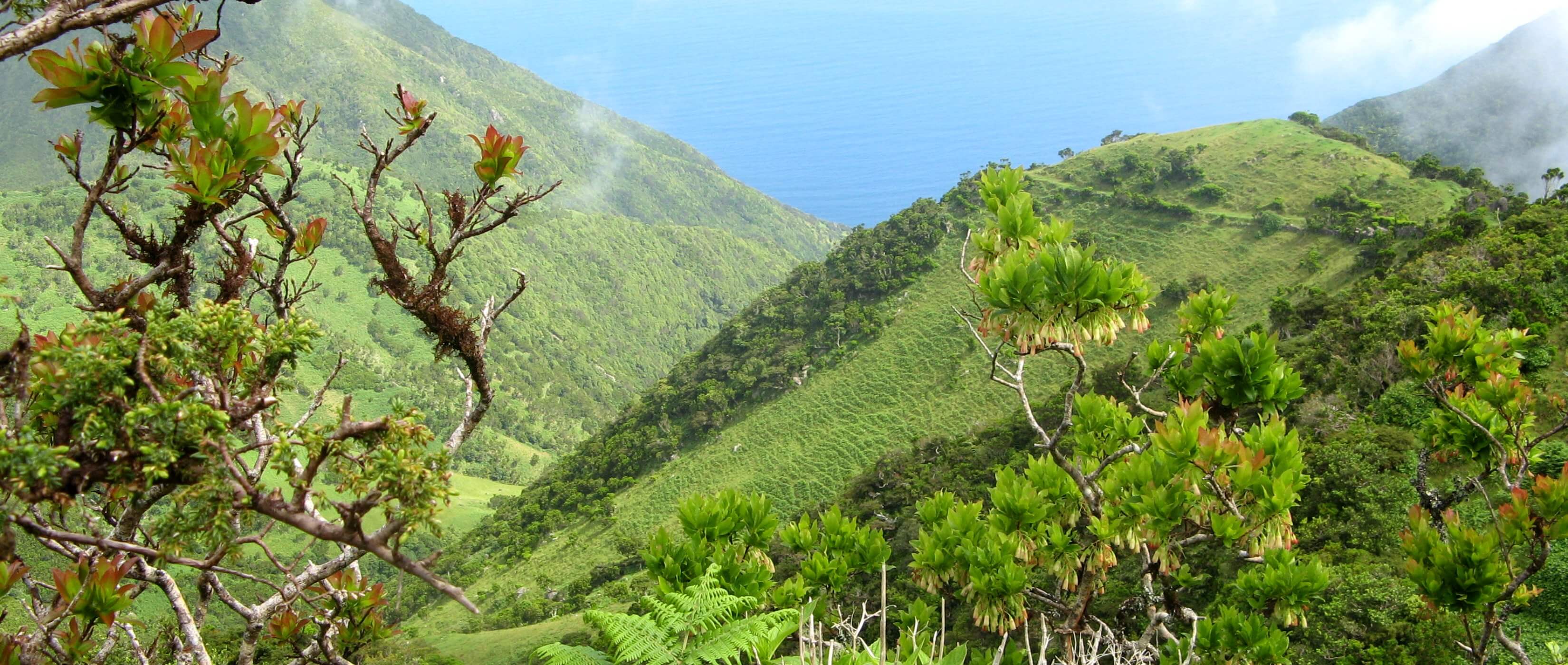 Foto: Immergrne Berglandschaft auf den Azoren - Lupe Reisen