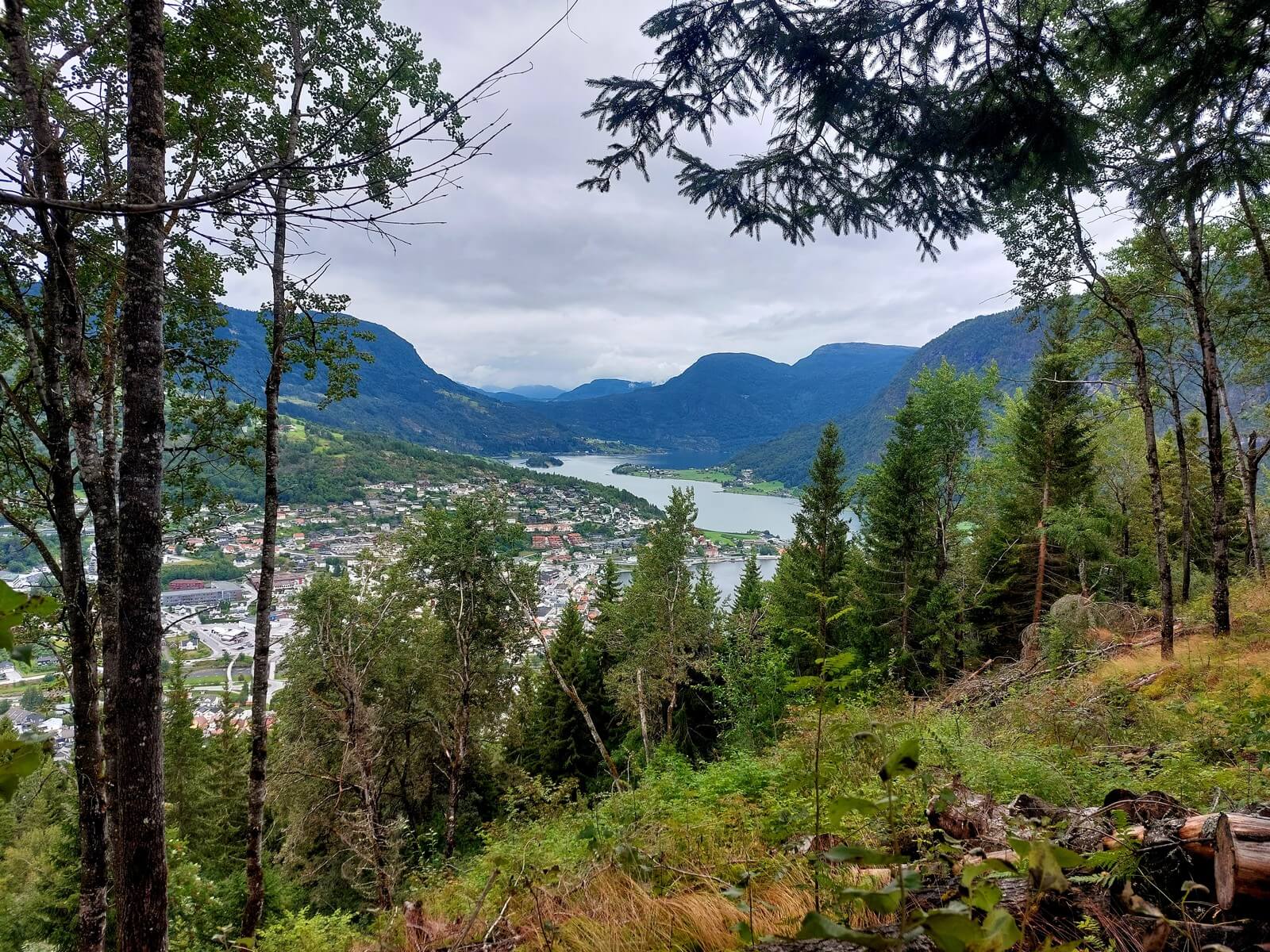 Foto: Wanderung durch Bergwald mit Blick auf den Sognefjord - Lupe Reisen