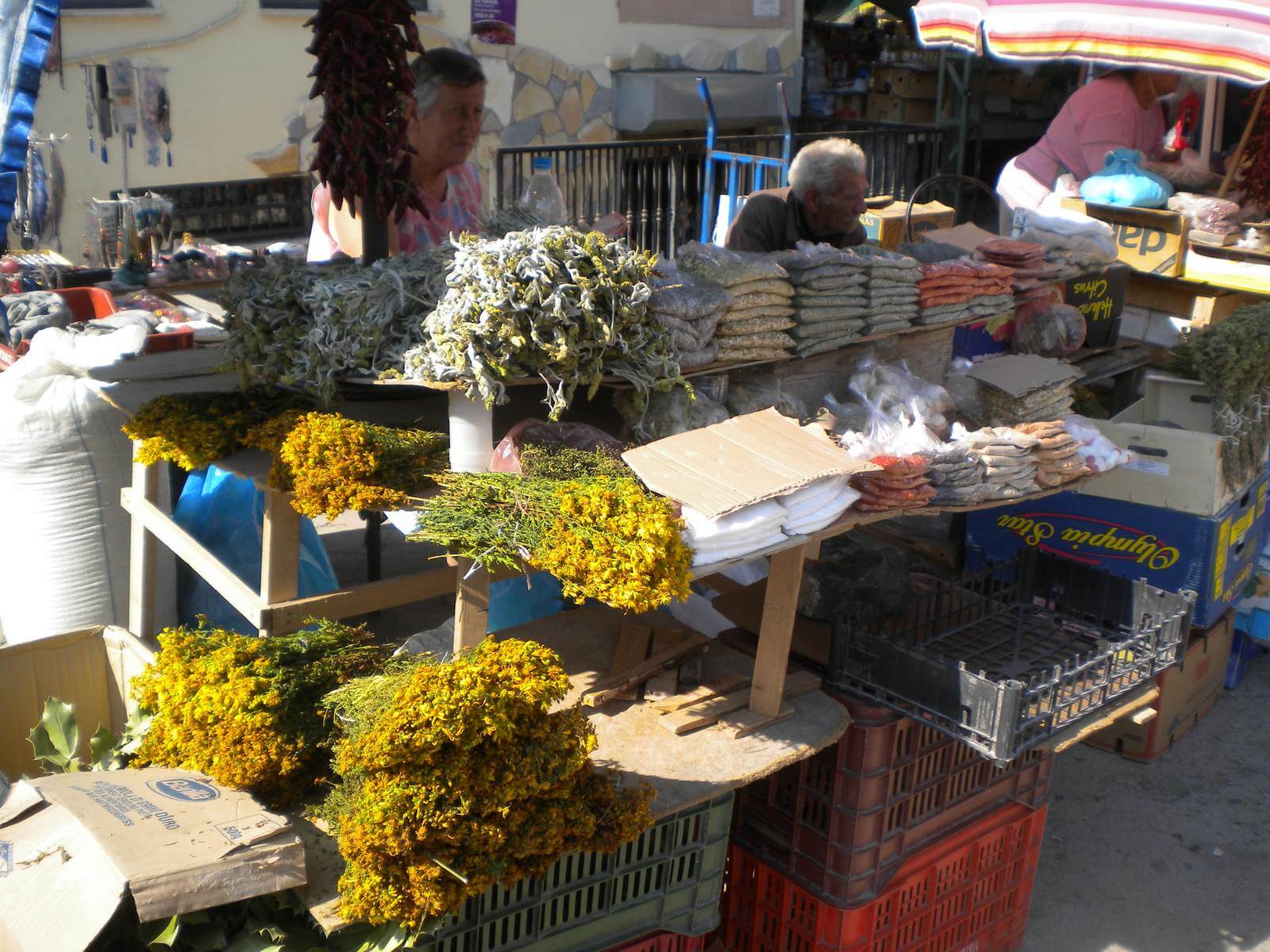 Foto: Kruter-Verkauf in der Markthalle von Korca in Albanien - Lupe Reisen