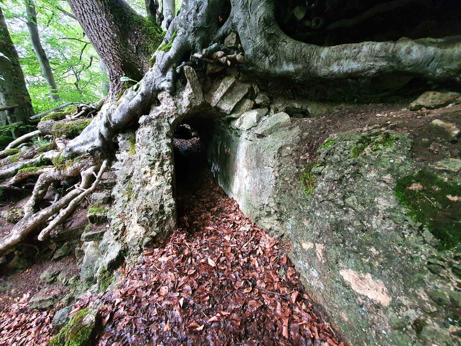 Foto: Aufbruch der fast 2.000 Jahre alten rmischen Fernwasserleitung aus der Eifel nach Kln - Lupe Reisen