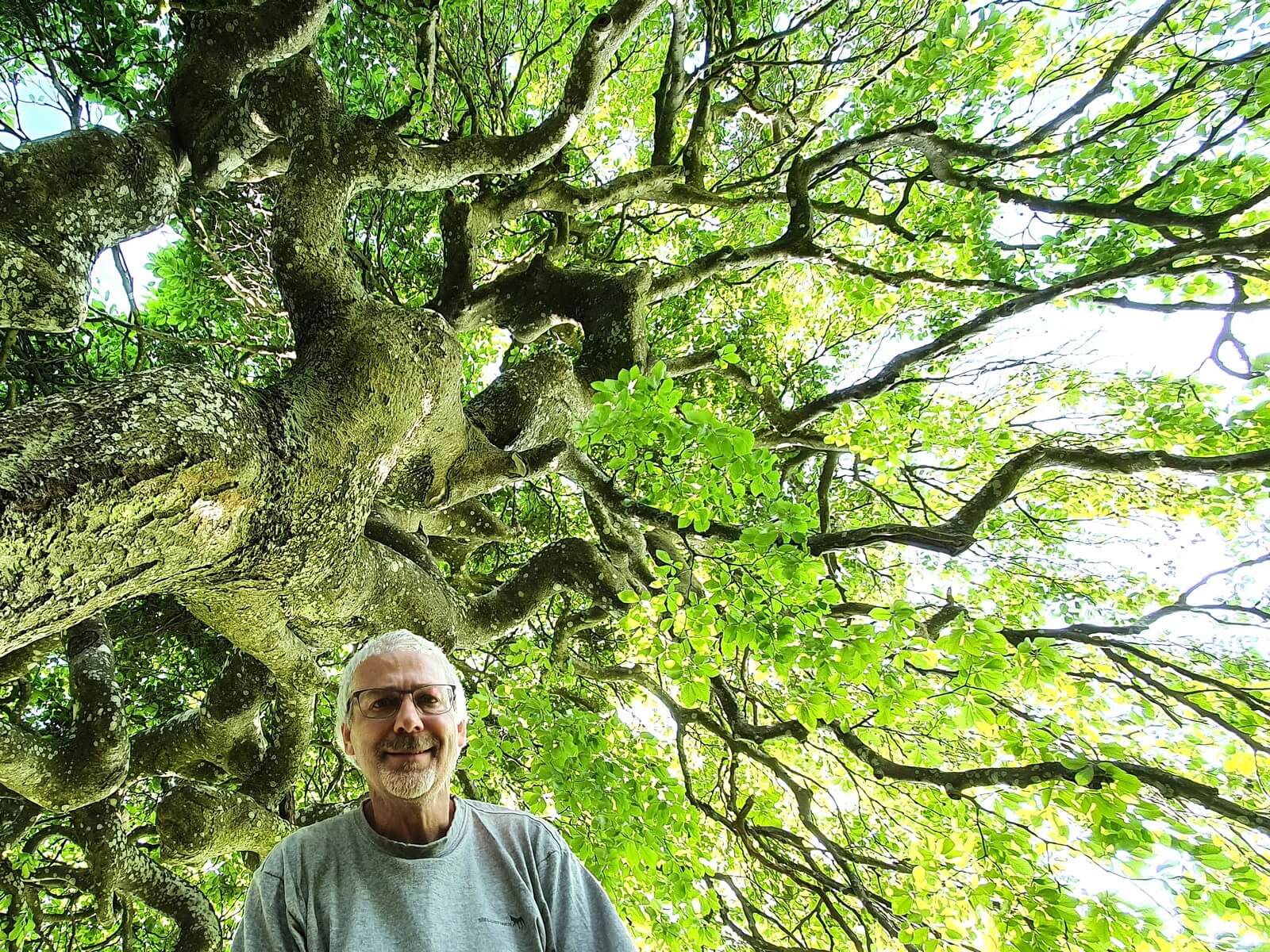Foto: Der Reiseleiter Eberhard Seliger an einem Lieblingsbaum - Lupe Reisen