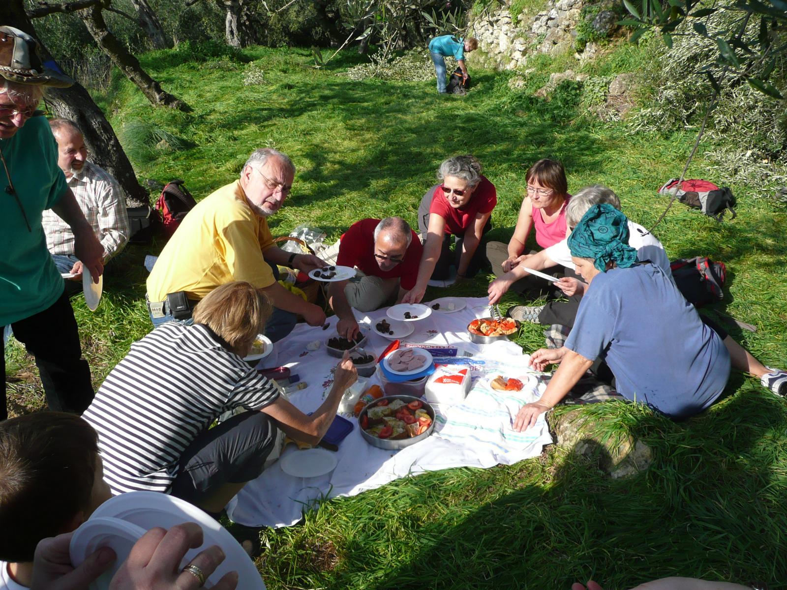 Picknick zwischen uralten Olivenbumen - Lupe Reisen