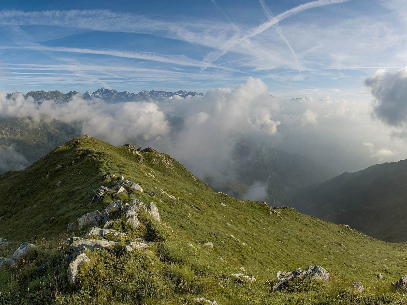 Foto: Blick auf die Gran Paradiso-Gruppe vom Gipfel der Cima La Rossa  Matthias Mandler - Lupe Reisen