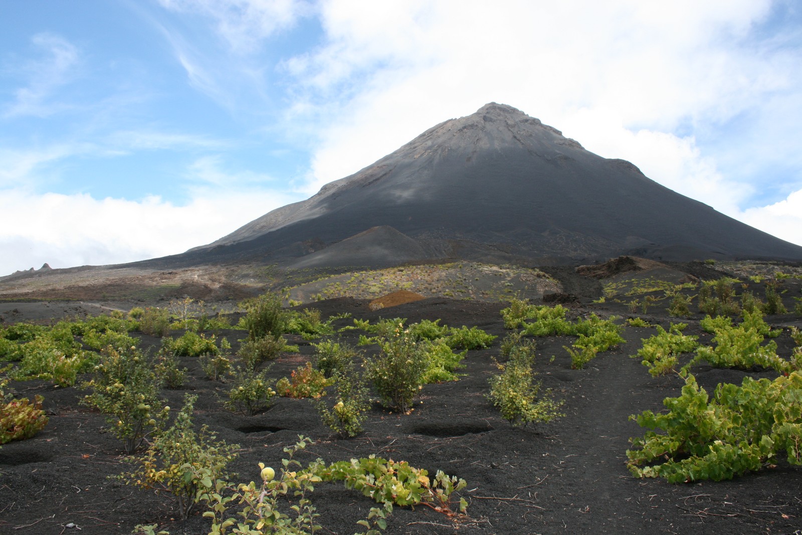 Vulkankegel Fogo mit Weinanbau im Lava-Gerll - Lupe Reisen