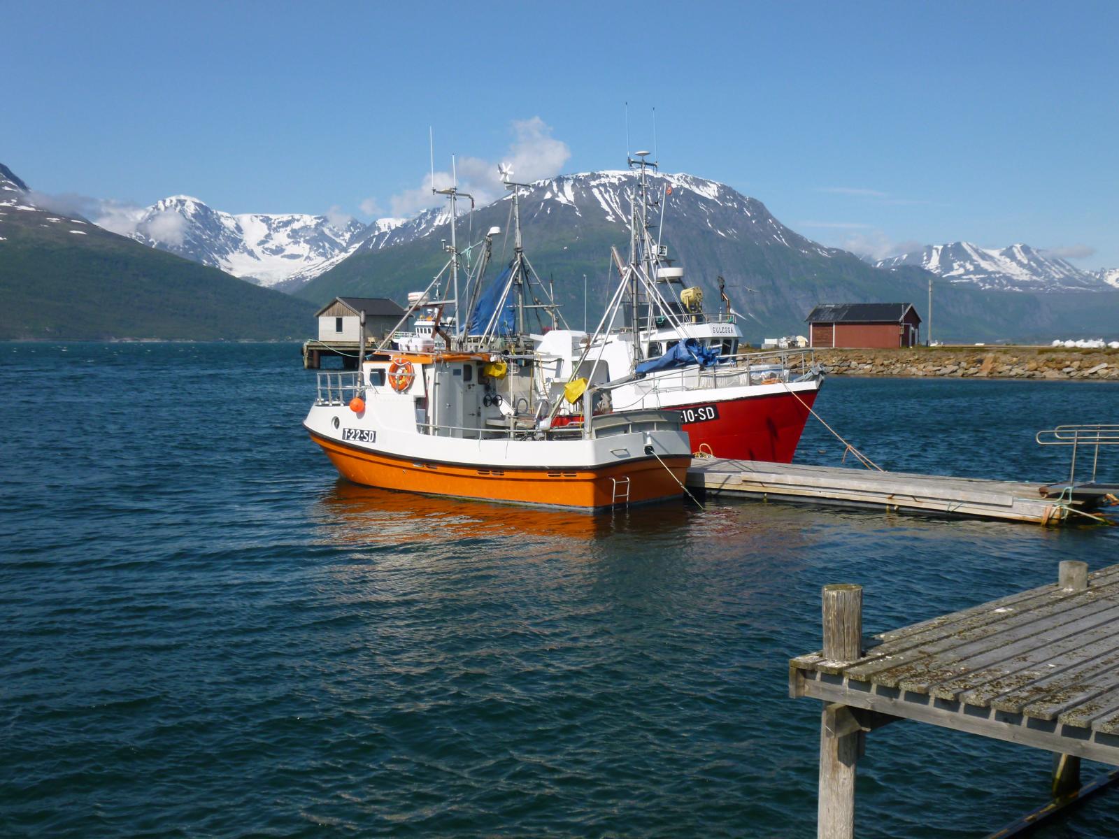 Kleine norwegische Fischerboote liegen im Hafen - Lupe Reisen