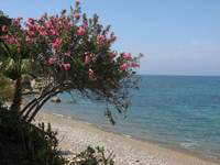 Südzypern-Reisen