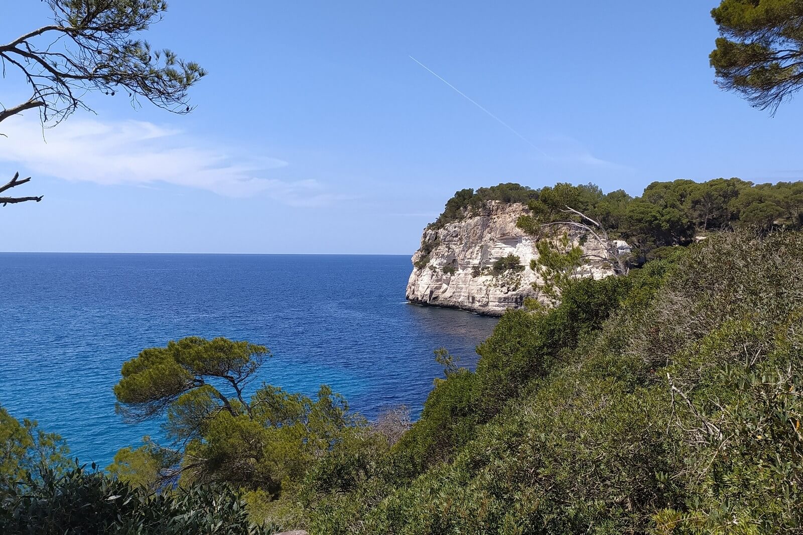 Foto: Einsame bewaldete Steilkste auf Menorca - Lupe Reisen