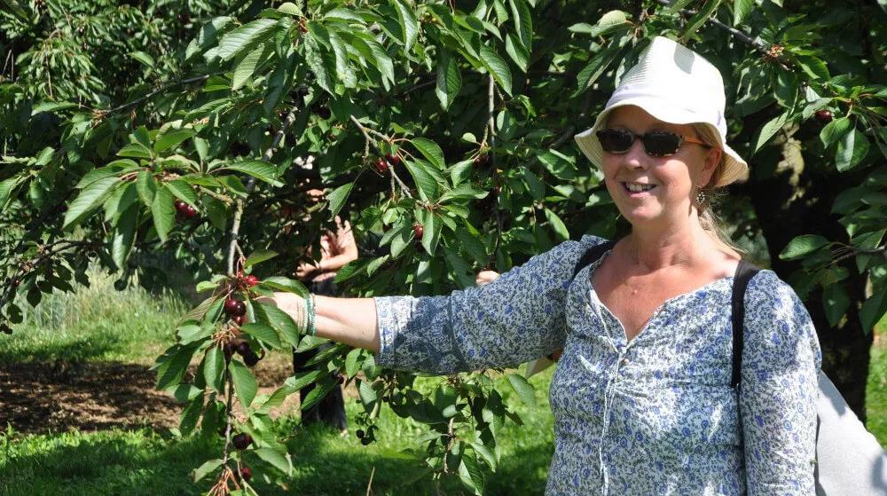 individuelle-reise-fraenkische-schweiz-kirschen-1000