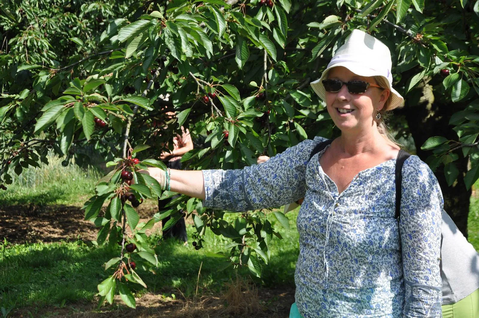 individuelle-reise-fraenkische-schweiz-kirschen