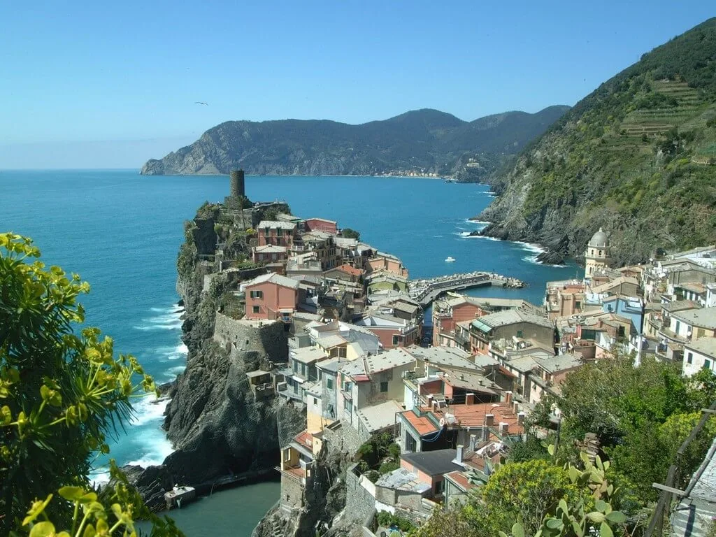 Lupereisen-Italien-Cinque-Terre-Vernazza-Wolfsmilch-Wanderreise-Gruppenreise-Reisevermittlungsangebot