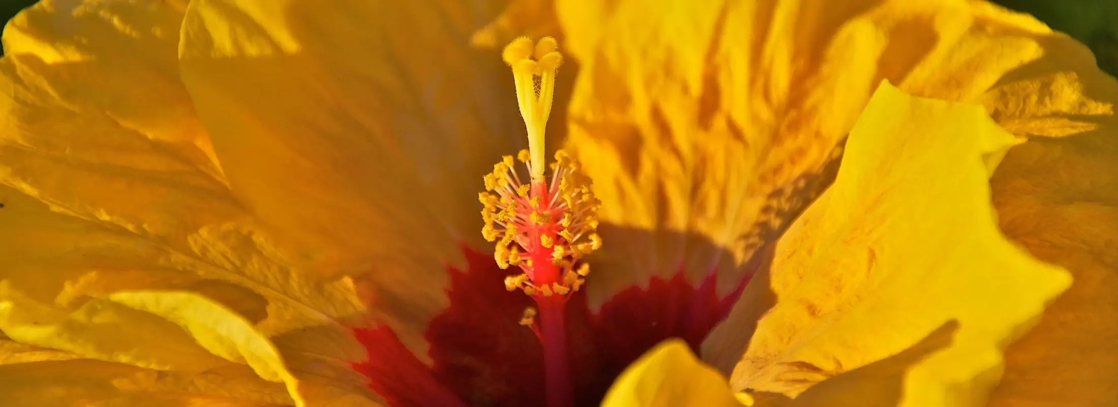 thailand-gruppenreisen-wanderreisen-reiseangebote